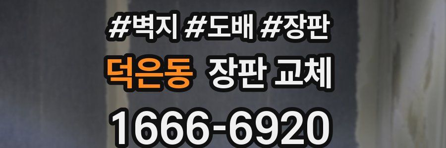 덕은동 장판 교체