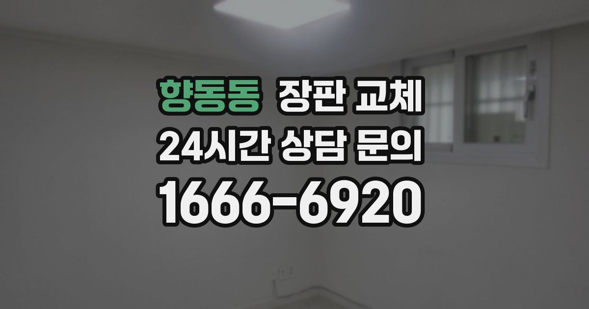 향동동 장판 교체