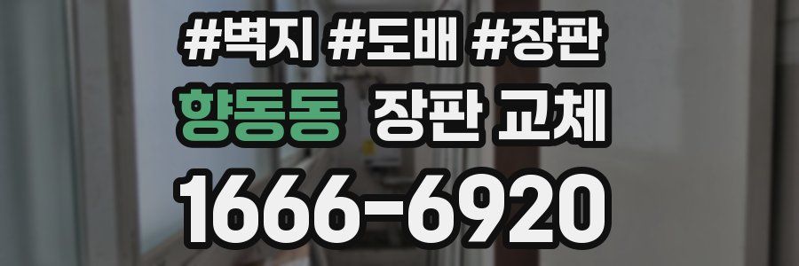 향동동 장판 교체