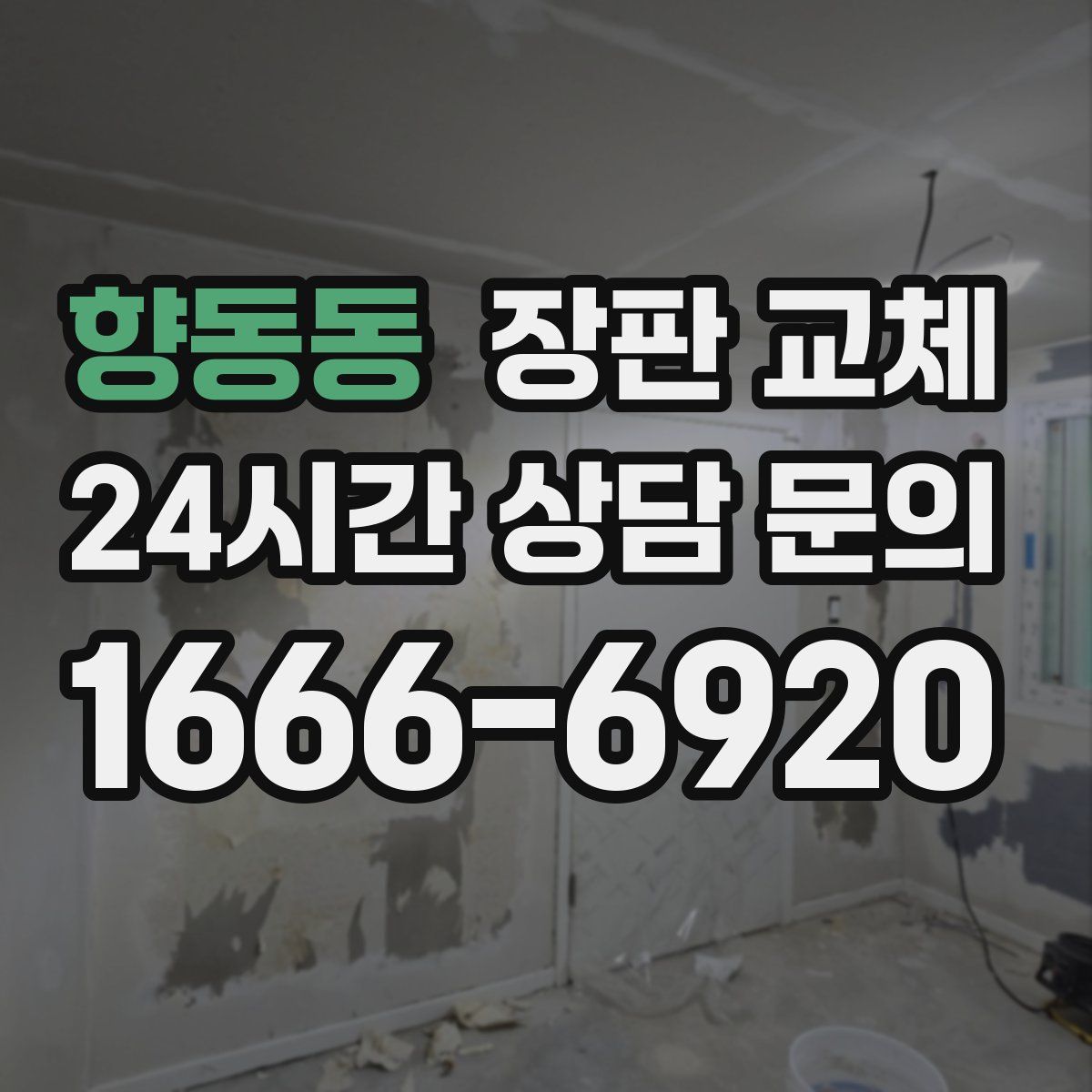 향동동 장판 교체