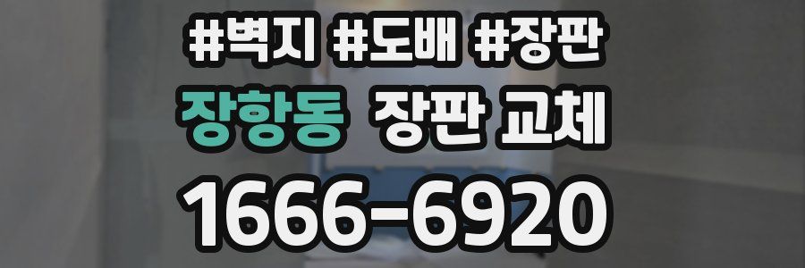장항동 장판 교체