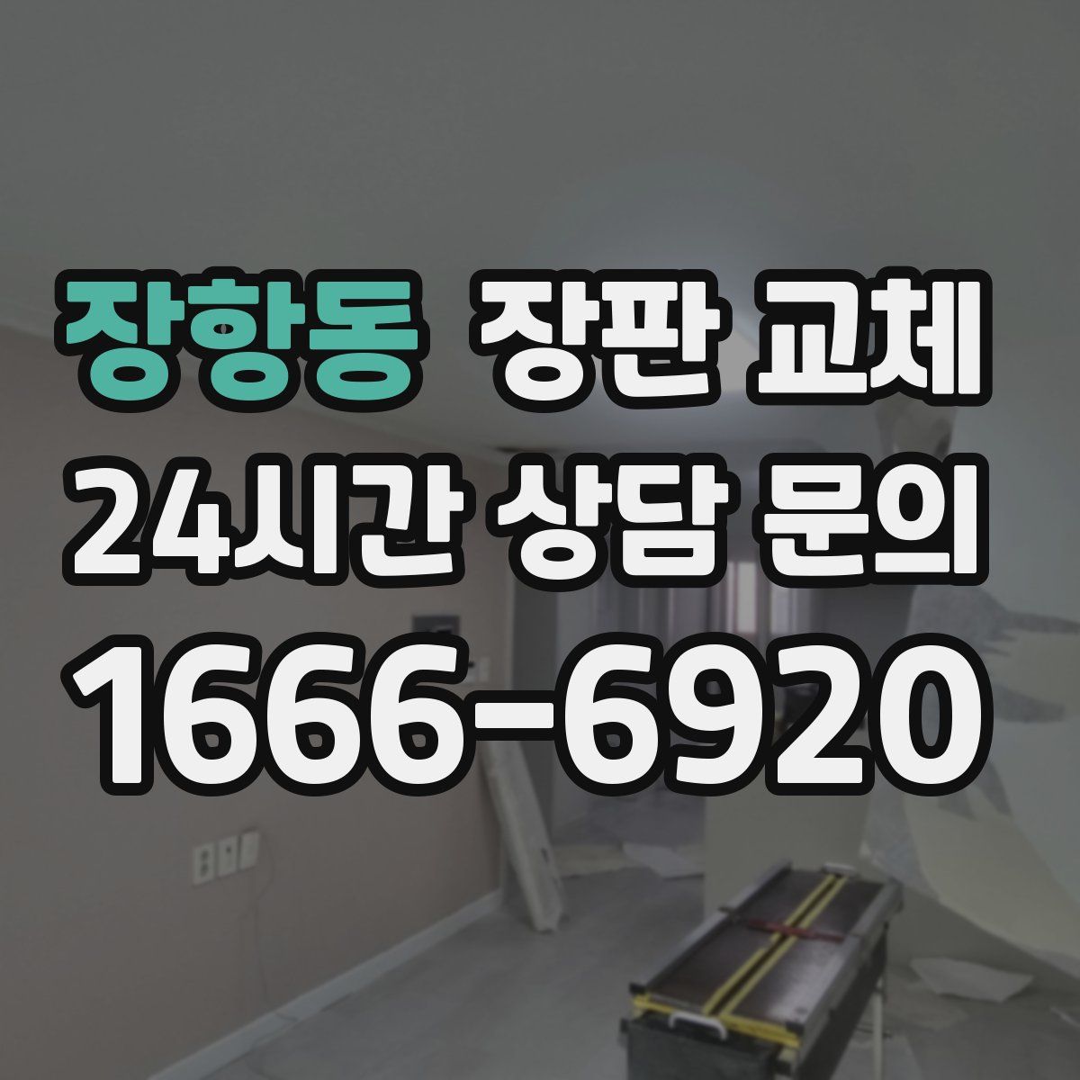 장항동 장판 교체