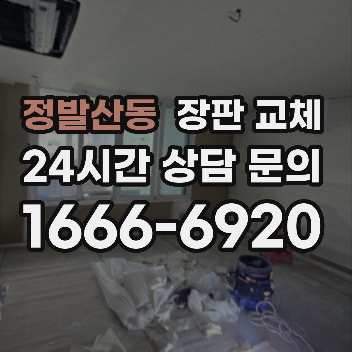 정발산동 장판 교체