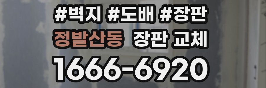 정발산동 장판 교체