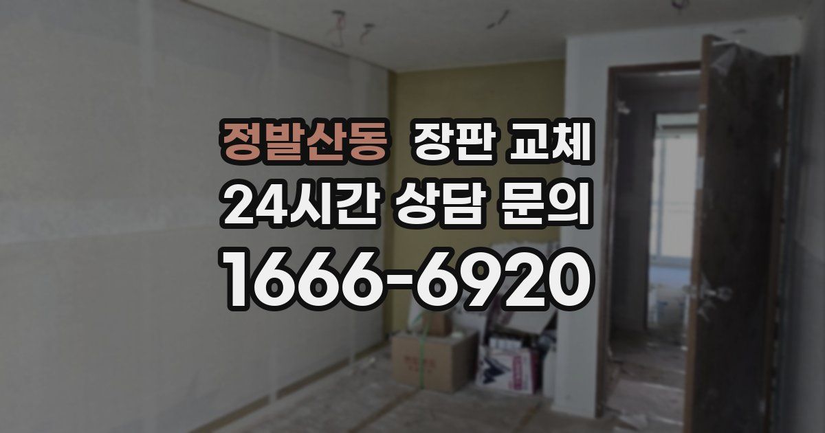 정발산동 장판 교체