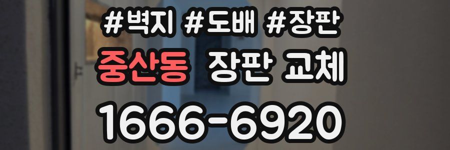 중산동 장판 교체