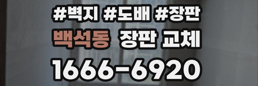 백석동 장판 교체
