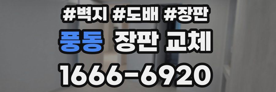 풍동 장판 교체