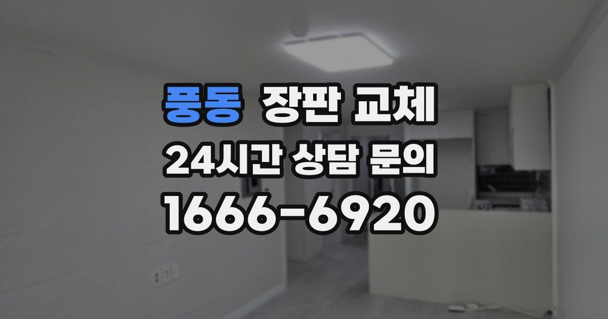 풍동 장판 교체