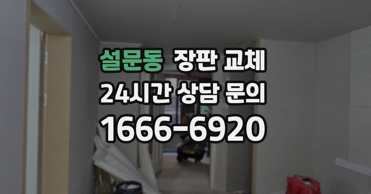 설문동 장판 교체