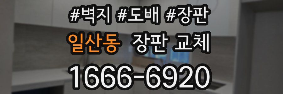 일산동 장판 교체