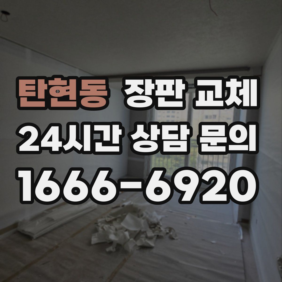 탄현동 장판 교체