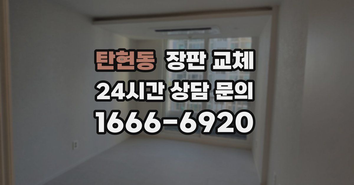 탄현동 장판 교체