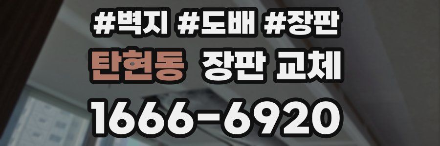탄현동 장판 교체