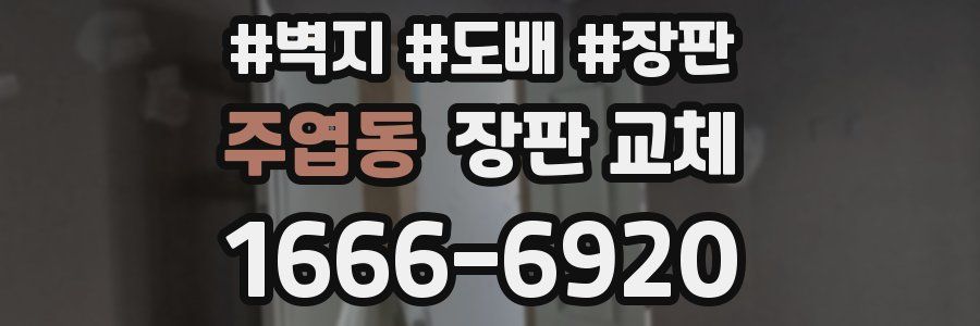 주엽동 장판 교체
