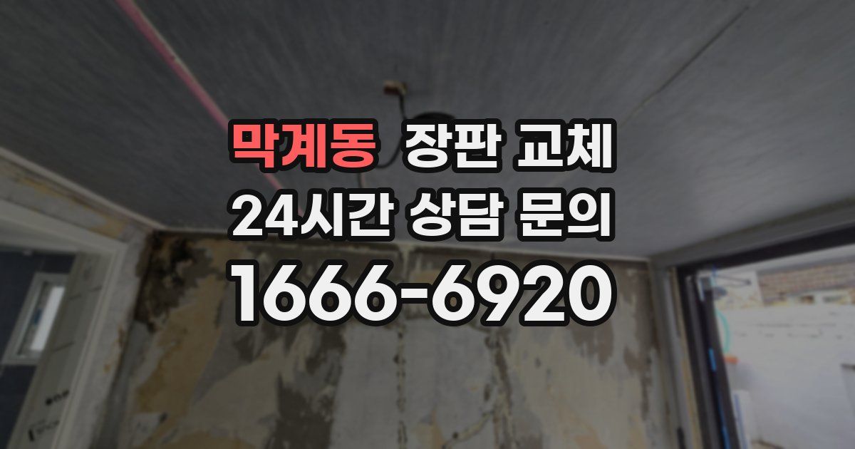 막계동 장판 교체
