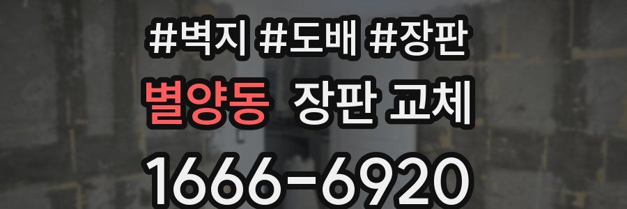 별양동 장판 교체