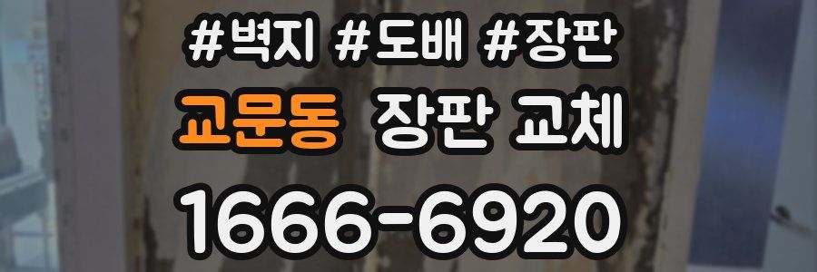 교문동 장판 교체
