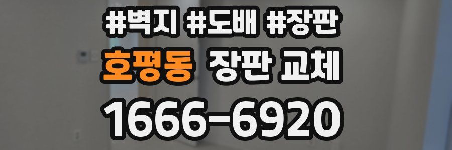 호평동 장판 교체