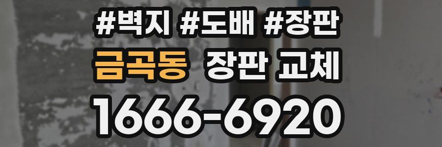 금곡동 장판 교체