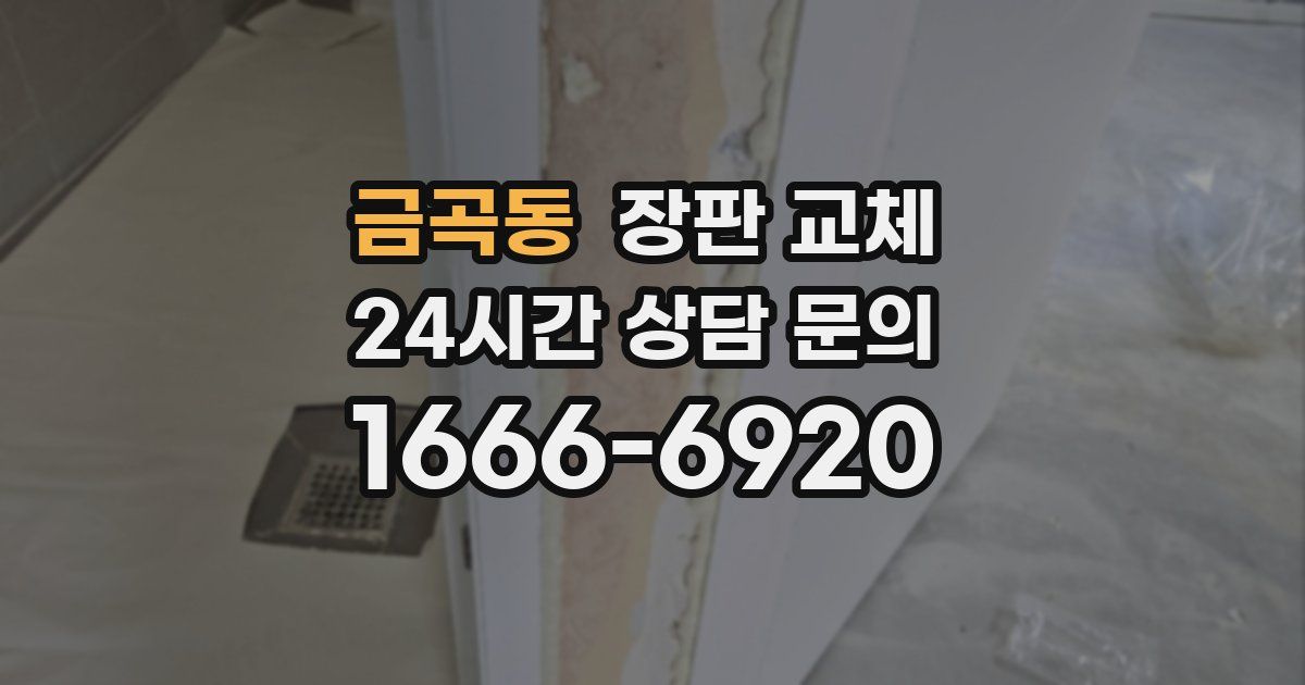 금곡동 장판 교체
