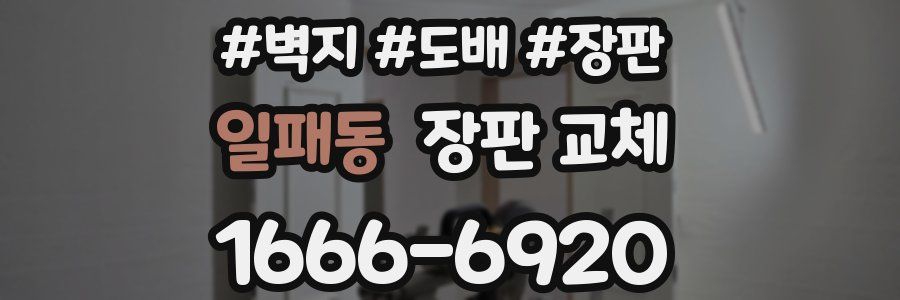 일패동 장판 교체