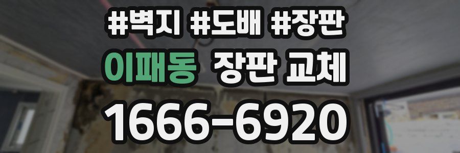 이패동 장판 교체
