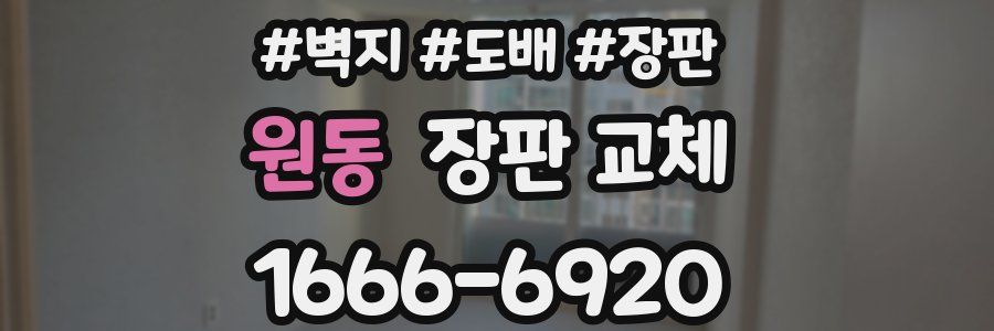 원동 장판 교체