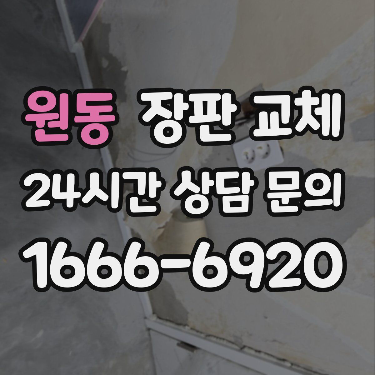 원동 장판 교체
