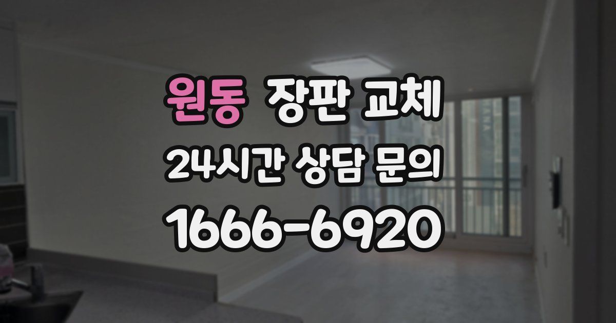 원동 장판 교체