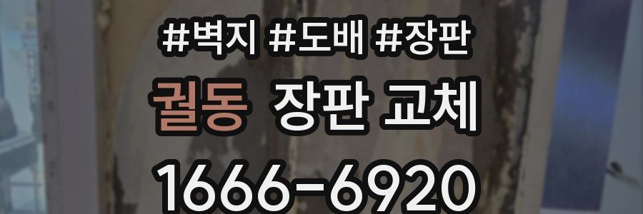 궐동 장판 교체