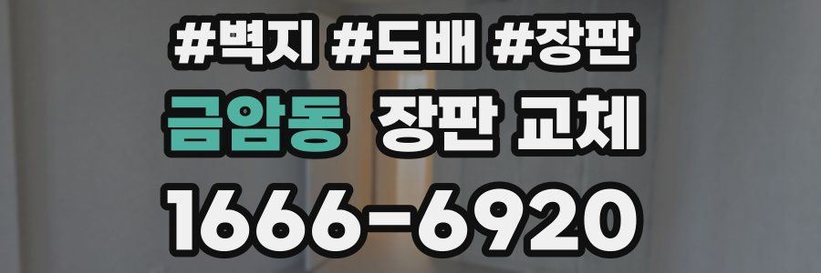 금암동 장판 교체