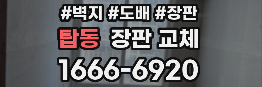 탑동 장판 교체