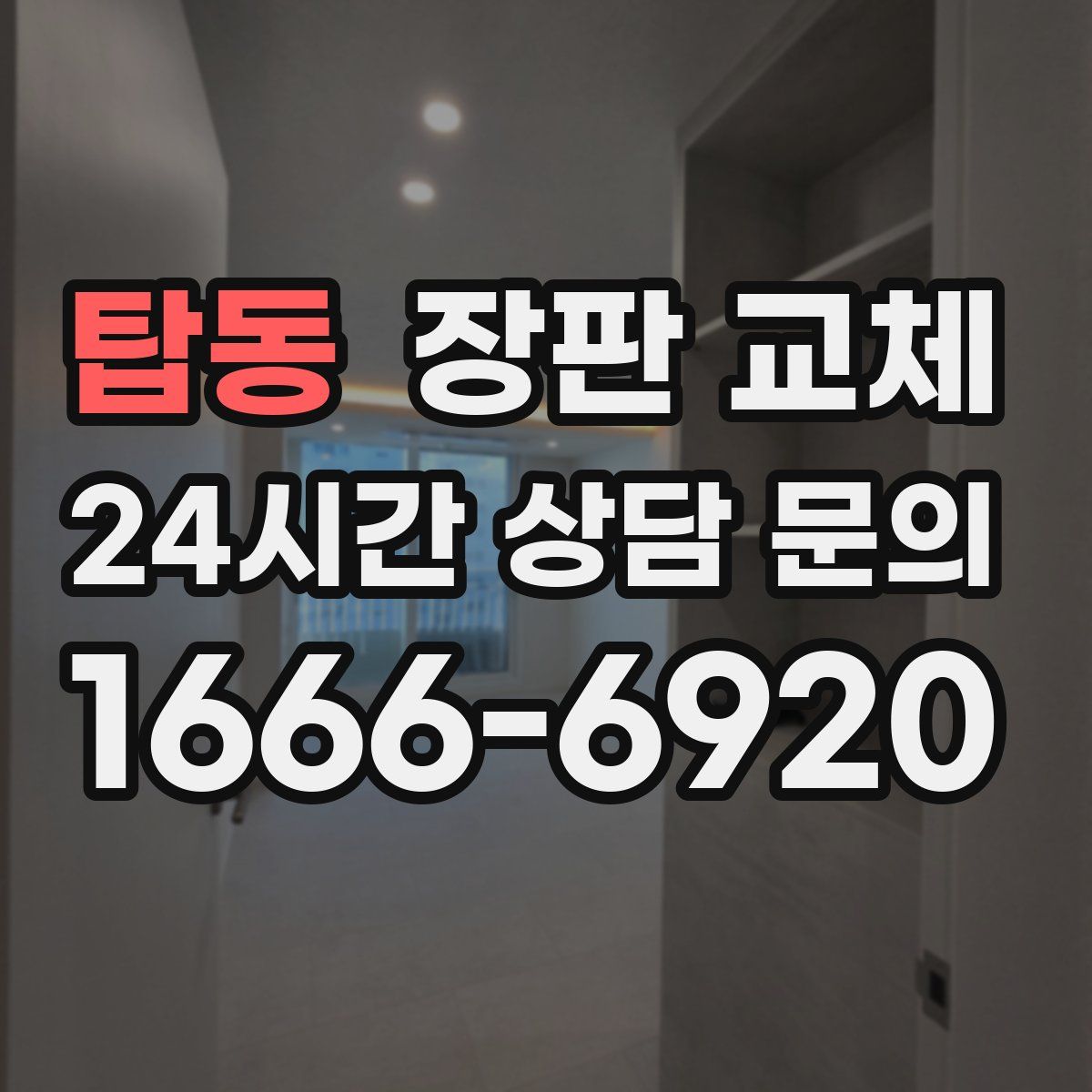 탑동 장판 교체