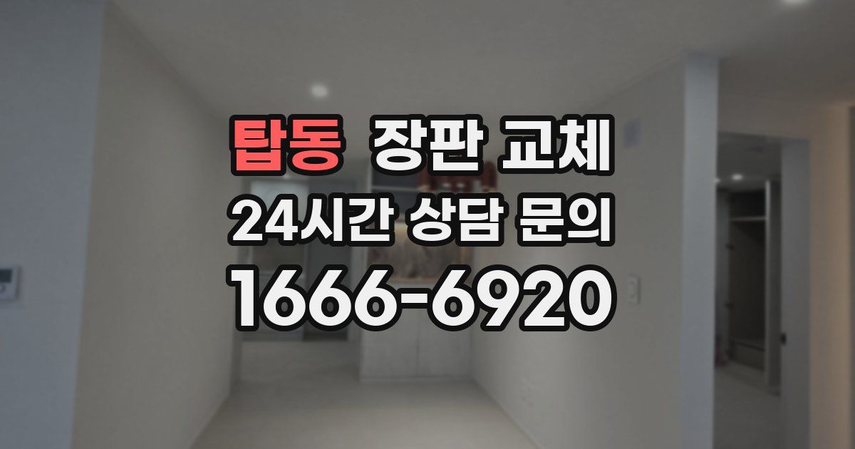 탑동 장판 교체