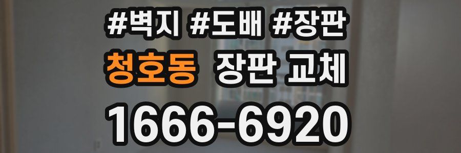 청호동 장판 교체