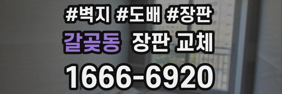 갈곶동 장판 교체