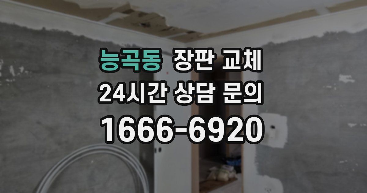 능곡동 장판 교체