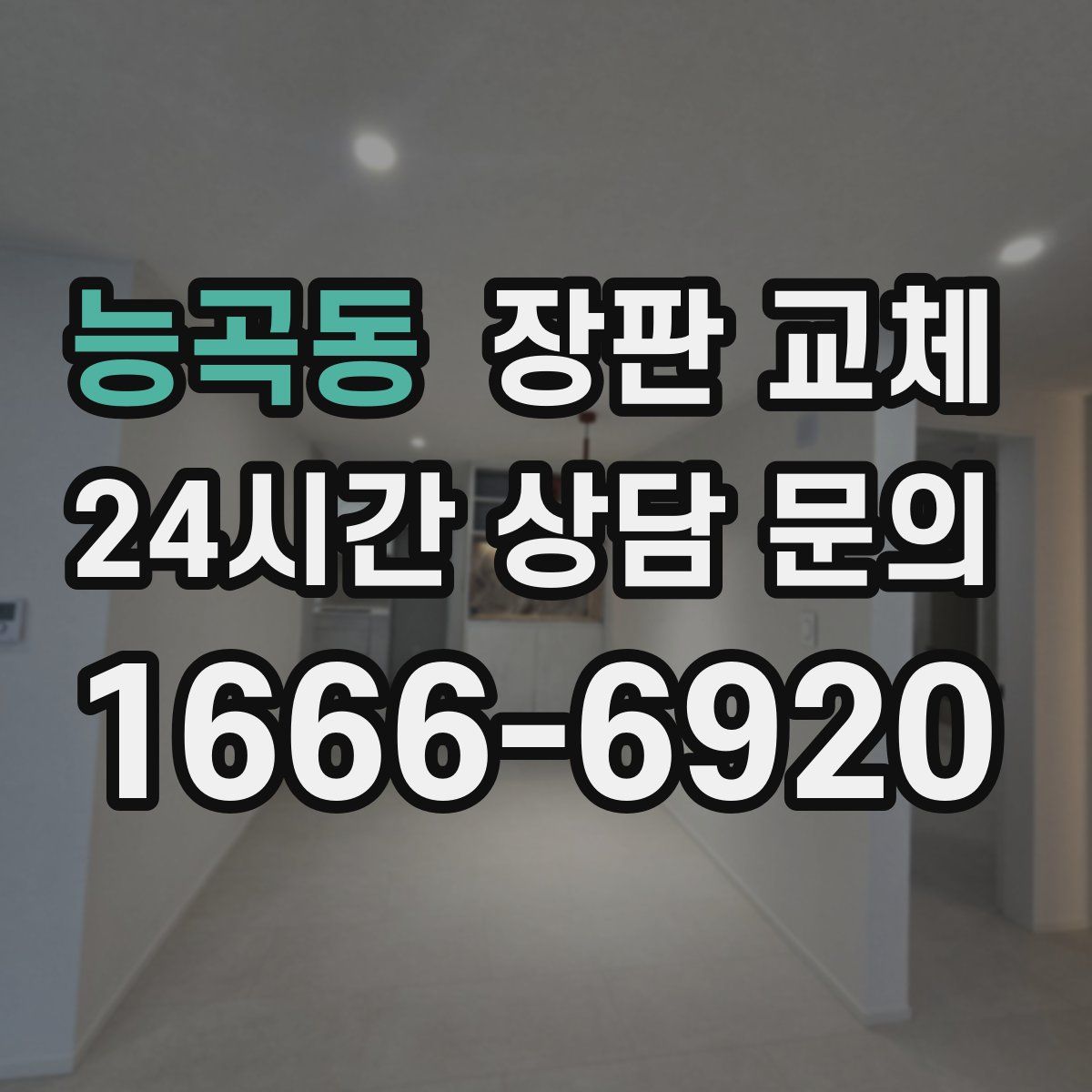 능곡동 장판 교체