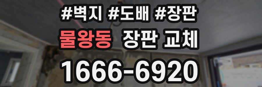 물왕동 장판 교체