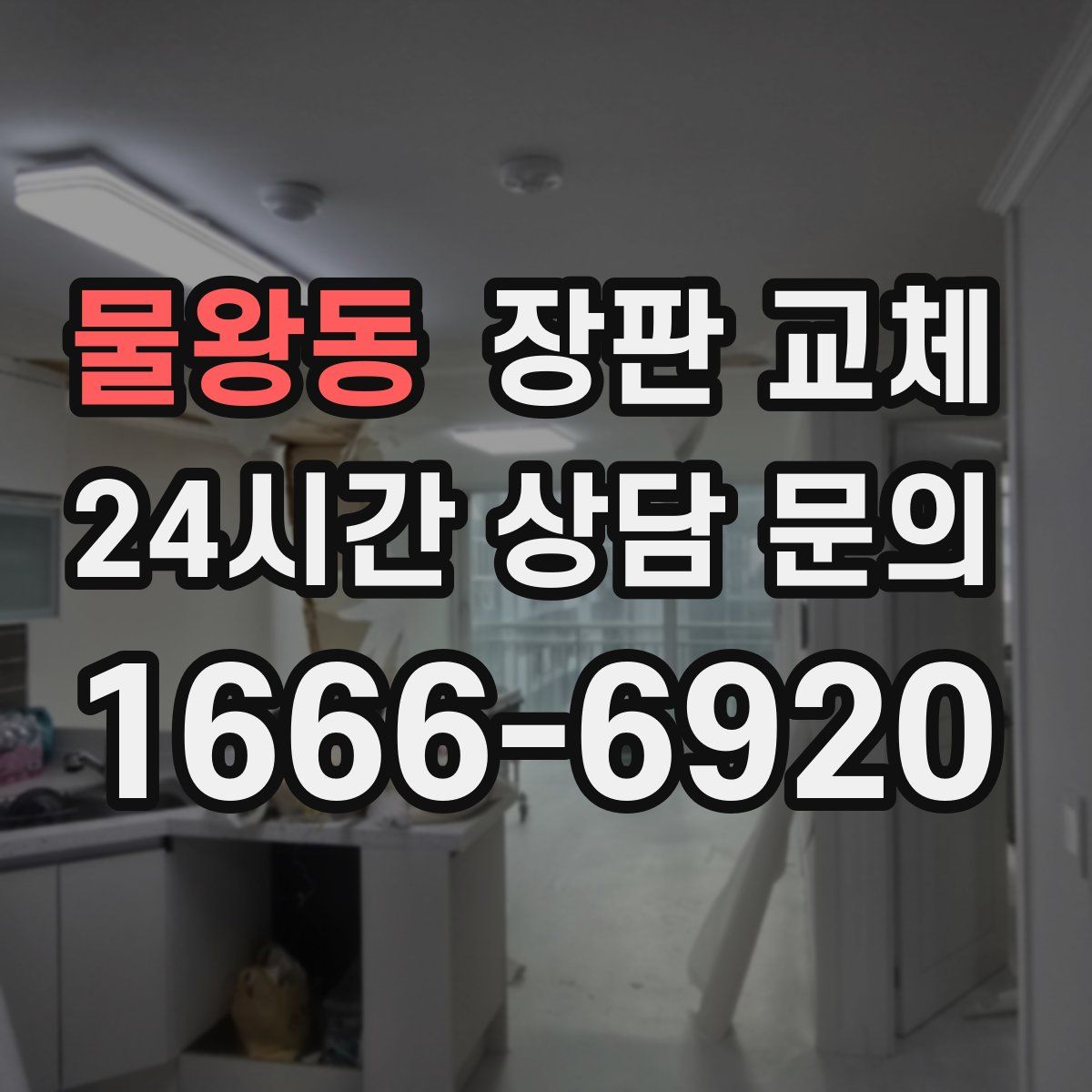 물왕동 장판 교체