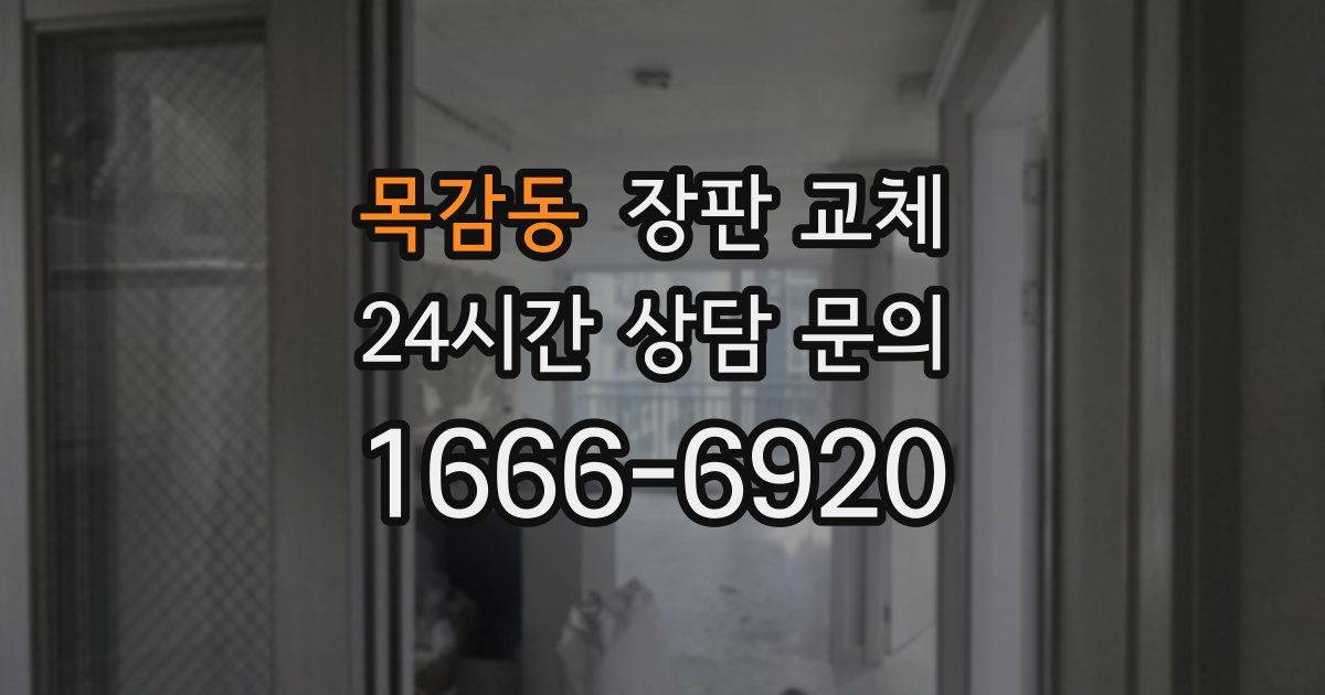 목감동 장판 교체