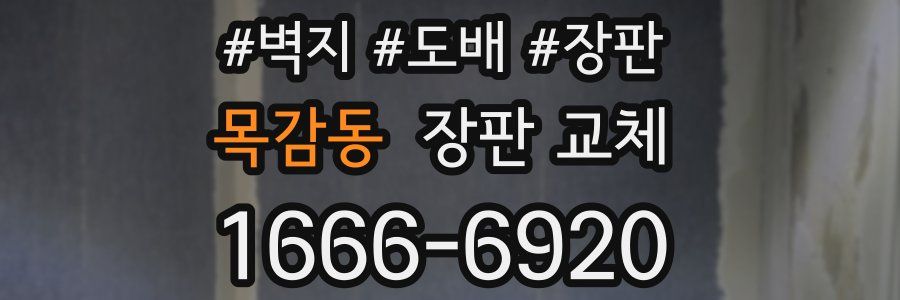 목감동 장판 교체