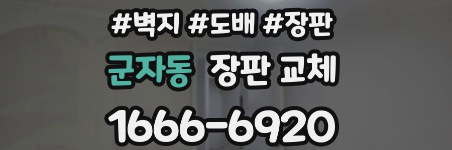 군자동 장판 교체
