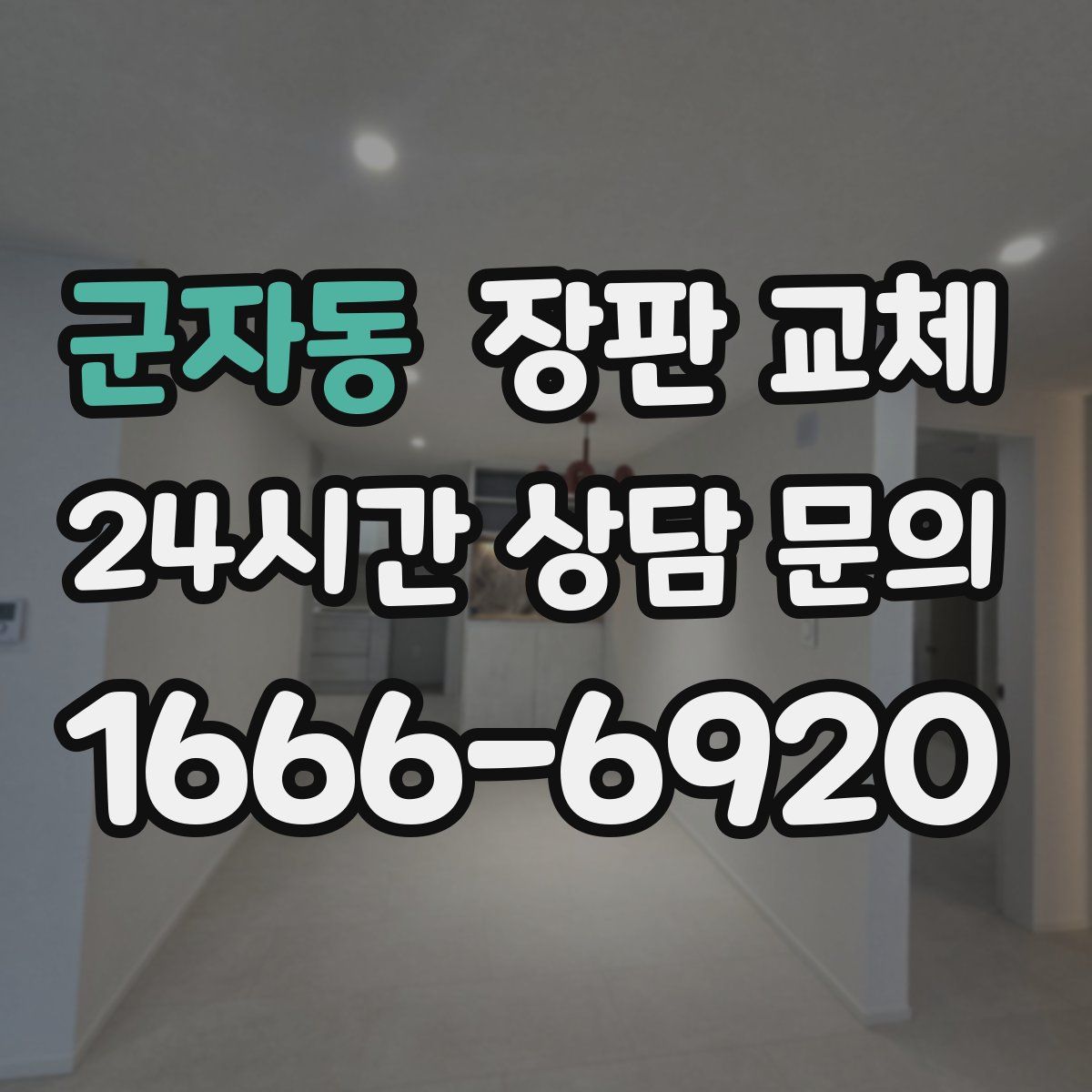 군자동 장판 교체