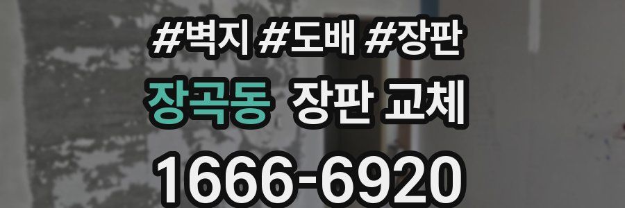 장곡동 장판 교체