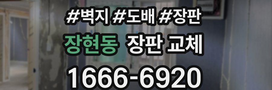 장현동 장판 교체