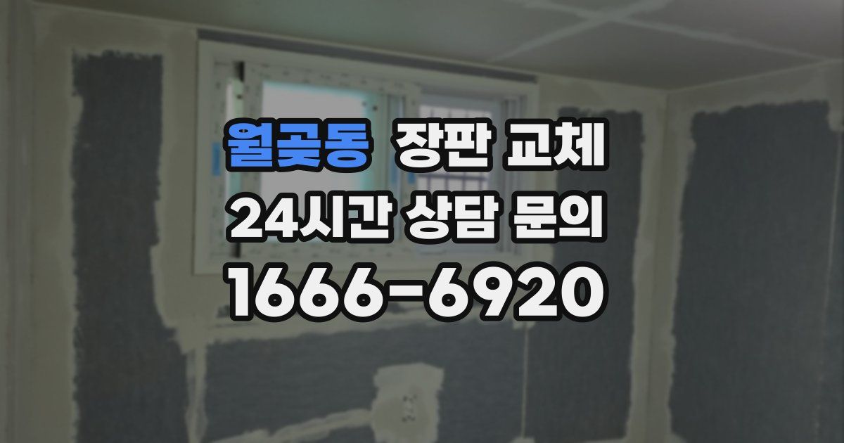 월곶동 장판 교체