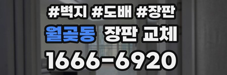 월곶동 장판 교체