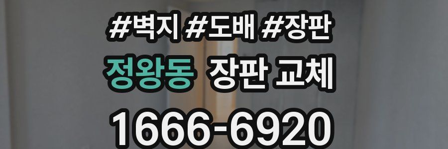 정왕동 장판 교체